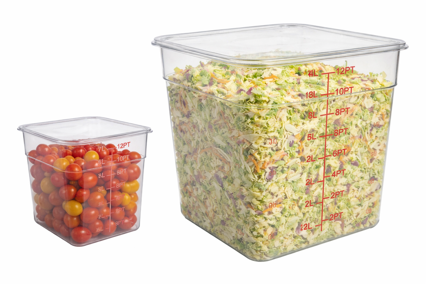 Caixa Transparente de Armazenamento de Alimentos em Polipropileno – 4 L / 22 L